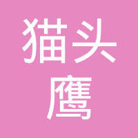 探秘猫头鹰网络科技 优势、业务与市场评价