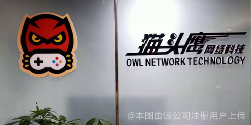 成都猫头鹰网络科技